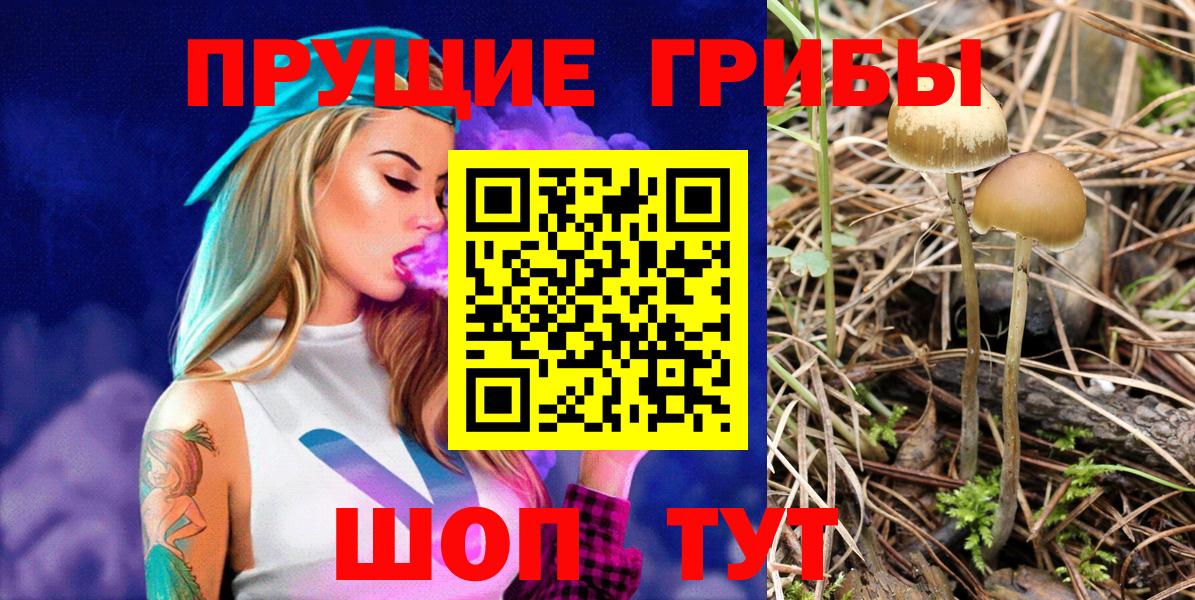 Псилоцибиновые грибы мицелий Ростов Великий