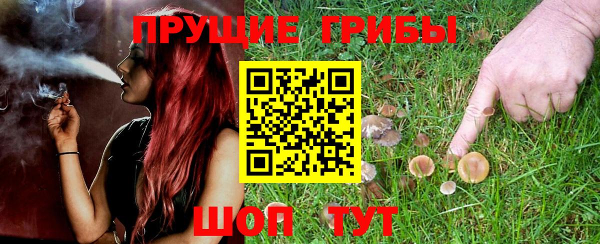 Ростов Великий  Галлюциногенные грибы MAGIC MUSHROOMS  Вход с VPN  Галлюциногенные грибы Cubensis 